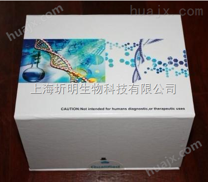 大鼠细小病毒RV株（MVM-RV）ELISA试剂盒