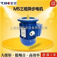 MS8024（0.75KW）清华紫光电机现货直销