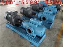 HW120-64F黄山铁人泵业-双螺杆泵