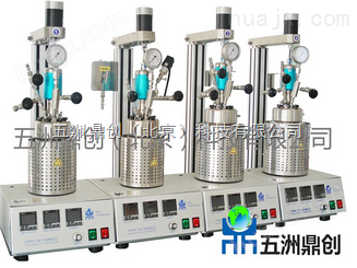 WZB100系列 北京实验室不锈钢简易高压反应釜