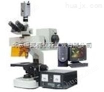 荧光显微镜HAD-CFM-100E