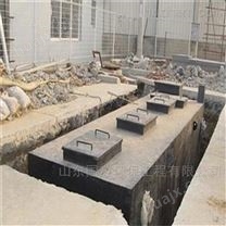 武威集装箱式污水处理设备*