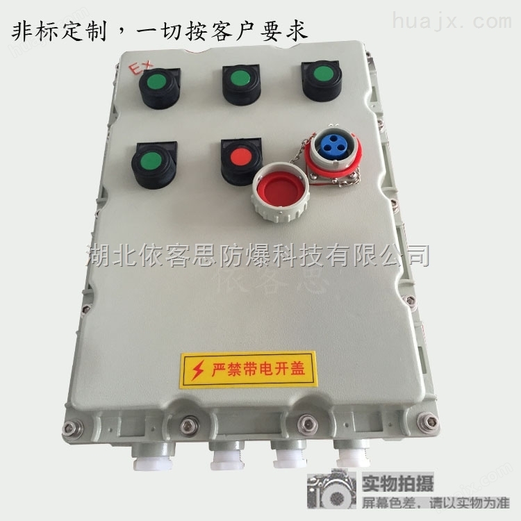 BXS-3/16带AC插销防爆检修电源插座箱