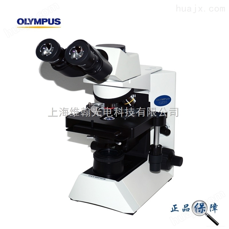 奥林巴斯CX31显微镜