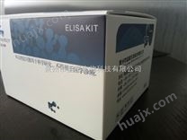 犬胰岛素（INS）定量检测试剂盒（ELISA）