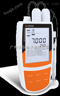 Bante903P携带型pH/溶解氧仪