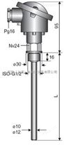 66RNS型螺纹式铂电阻温度传感器-INOR