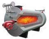 天然氣導熱油鍋爐-***鍋爐