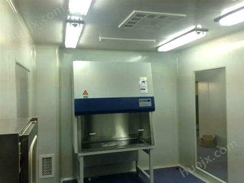 P2实验室-生物安全柜