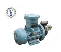 YS-15C-EX热水/热油旋涡泵