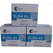 人前列腺素 E1检测试剂盒