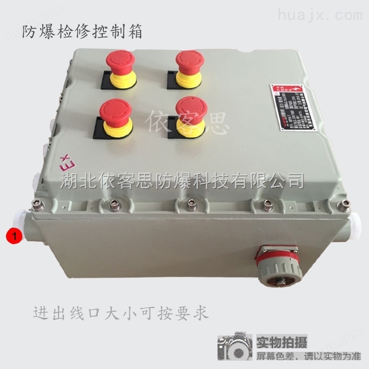 室内挂式三防检修电源插座箱FXX51-3K/2P