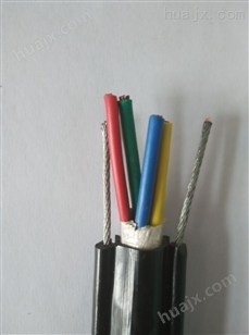 RVVZ22铠装电源电缆线
