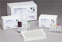 弹性蛋白检测试剂盒,ELN试剂盒