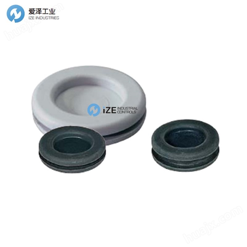 <strong><strong><strong>SES-HELAVIA密封圈DG M2</strong></strong></strong>5 02580013010 爱泽工业 ize-industries.jpg