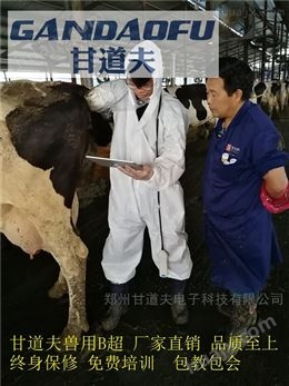 牛用B超兽用B超检测母牛怀孕方法图像判断