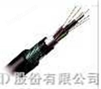 GYTA-4A1b安徽天康多模层绞铝铠装光纤光缆