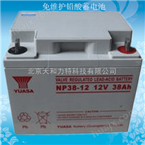 汤浅蓄电池NP38-12 免维护铅酸蓄电池12V38AH