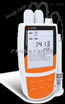 Bante900P携带型多参数水质测量仪