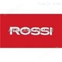 ROSSI电机