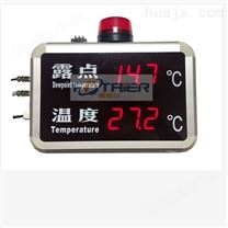 上海发泰在线式露点温度检测仪