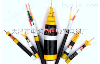 控制电缆ZR-KVVP22 阻燃电缆ZR-KVV-16*1.5专业生产厂家