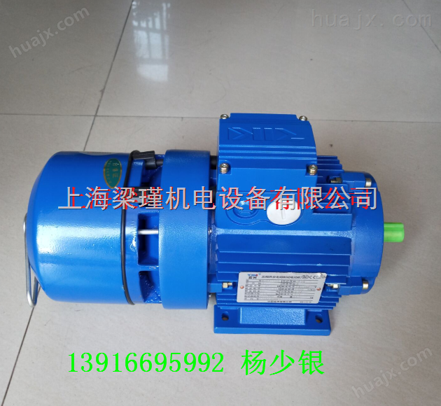 BMA8012-0.75KW紫光刹车电机